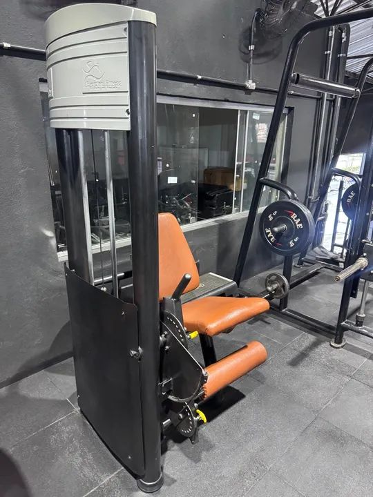 Cadeira Extensora! Pintura e estofado Novo! - Foto 3