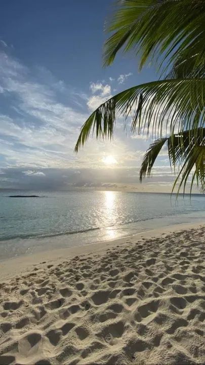 PARAÍSO TROPICAL A 350MTS DA PRAIA EM RIO DAS OSTRAS 