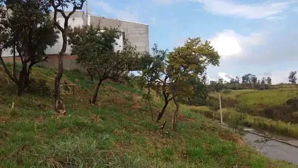 Venda Commercial / Land Lot Belo Horizonte MG