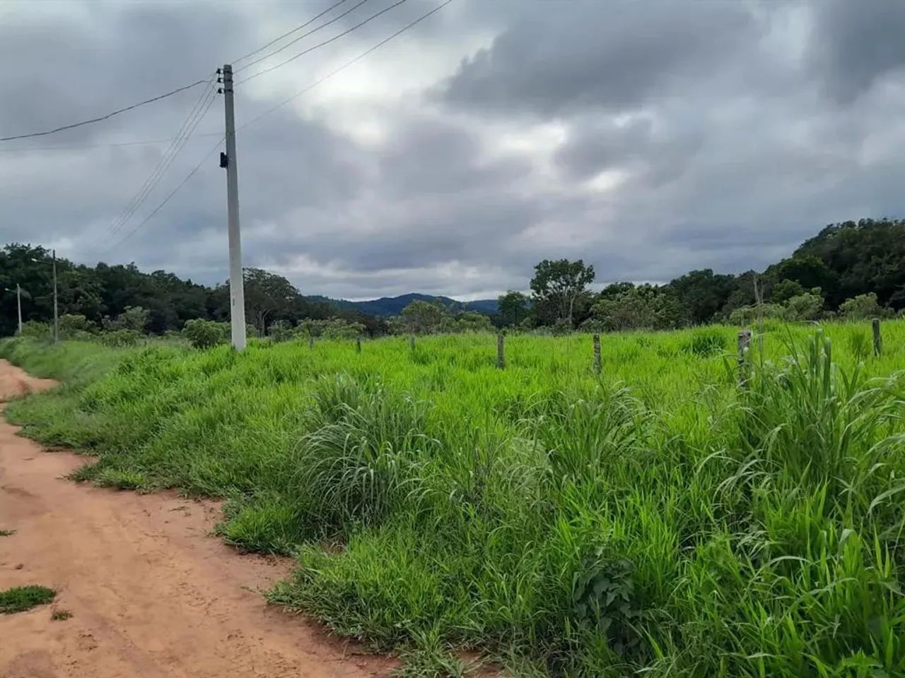 Area em Pirenópolis, 3954m² - Foto 2