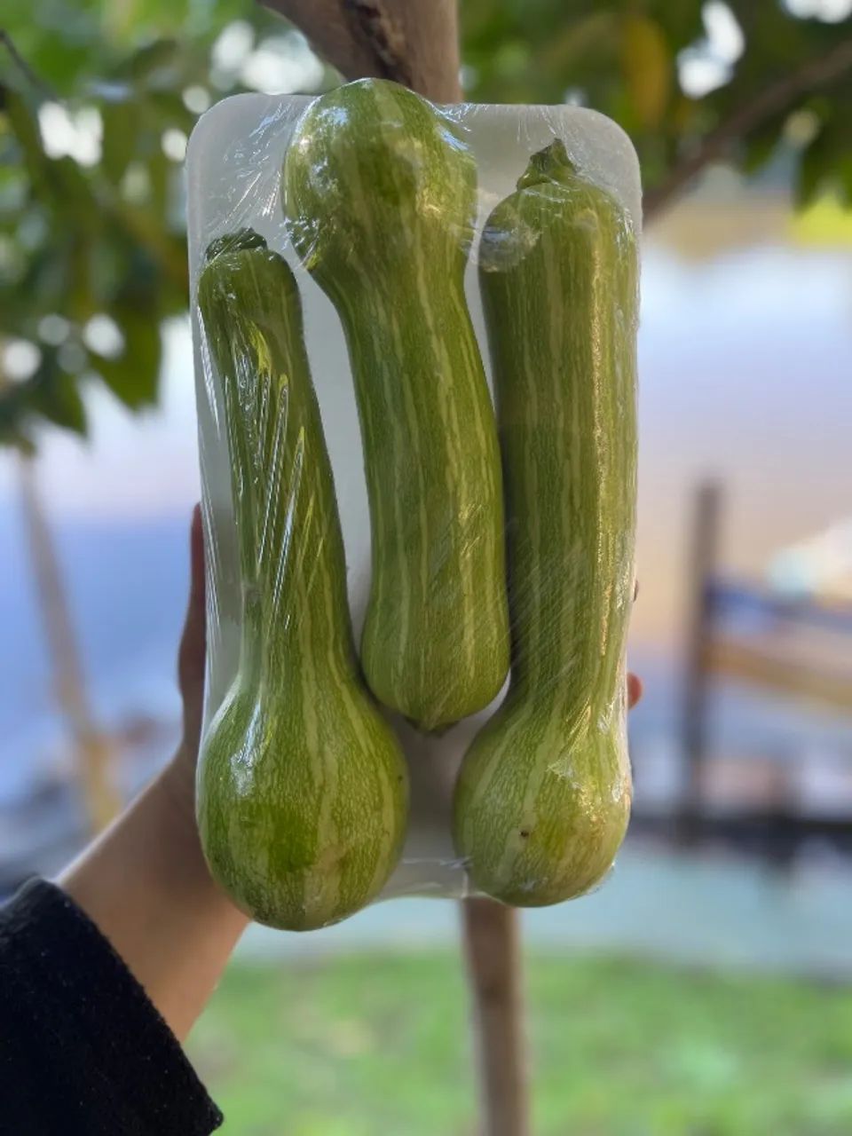 Verduras - Foto 2