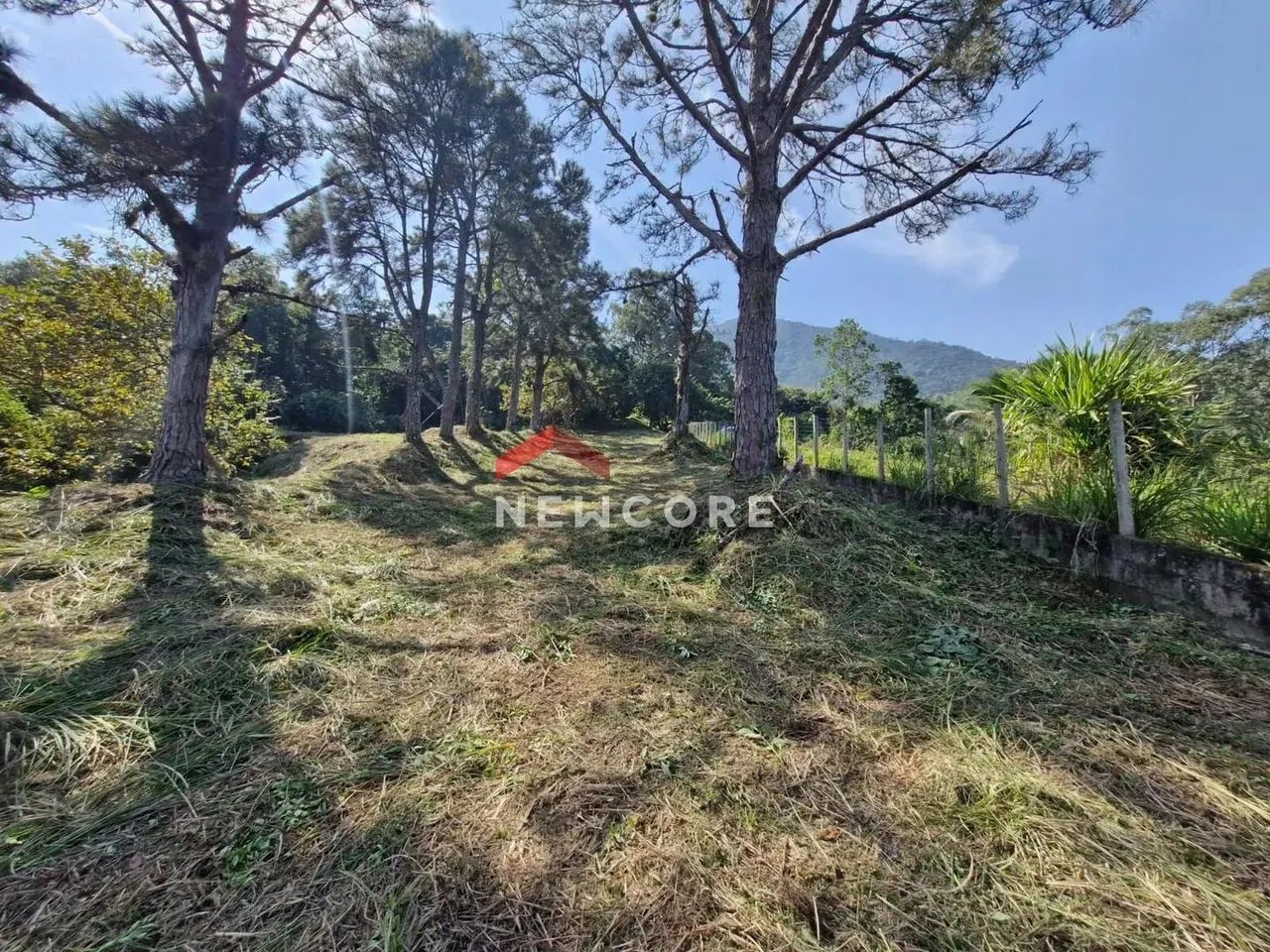 Lote em Avenida gov. Mário Covas junior - BORRIFOS - Ilhabela/SP