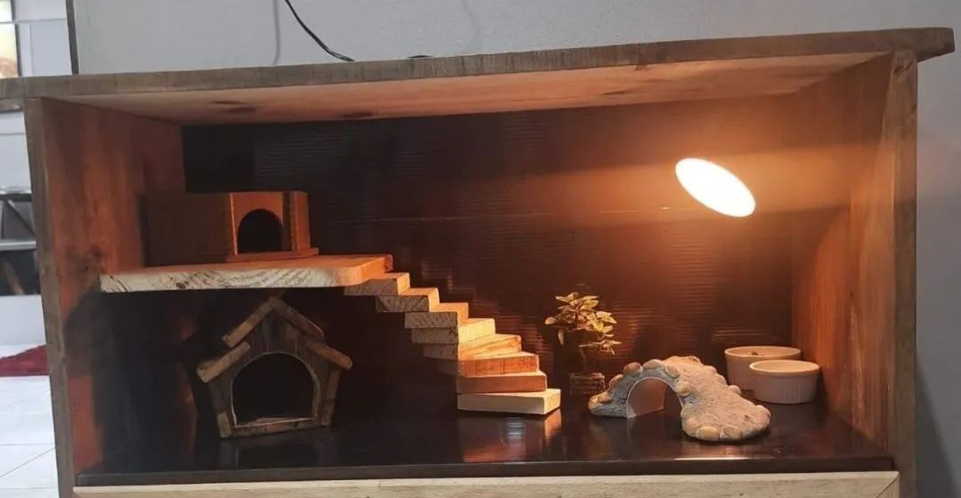 Vendo viveiro  - Foto 3