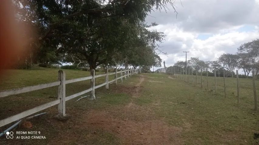 FAZENDA EM SÃO GONÇALO - 50 TAREFAS - Foto 10