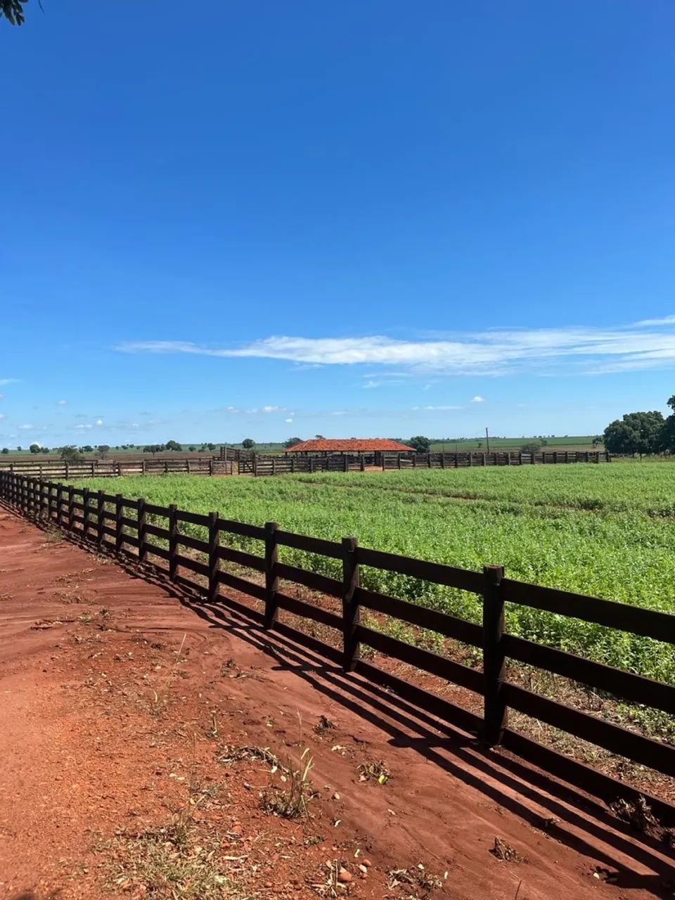 Excelente fazenda no Goiás  - Foto 3