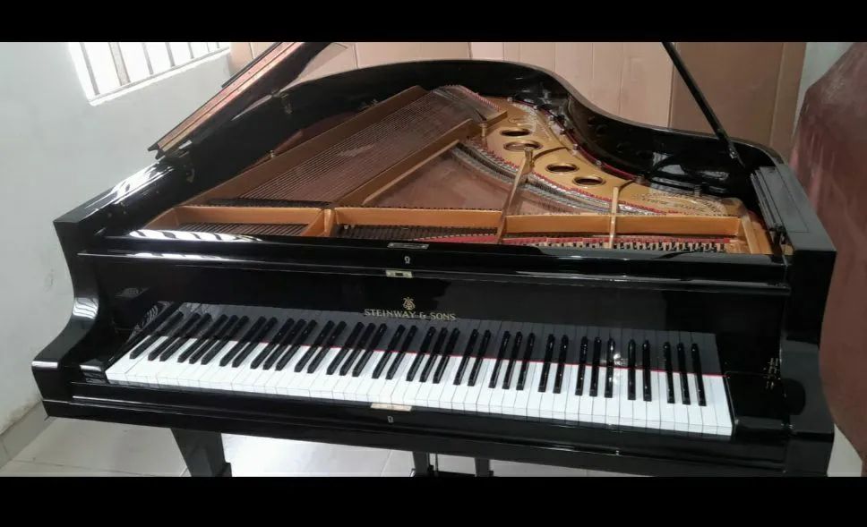 Piano de Cauda Steinway & Sons n Fazioli Yamaha Dobbert calda casio