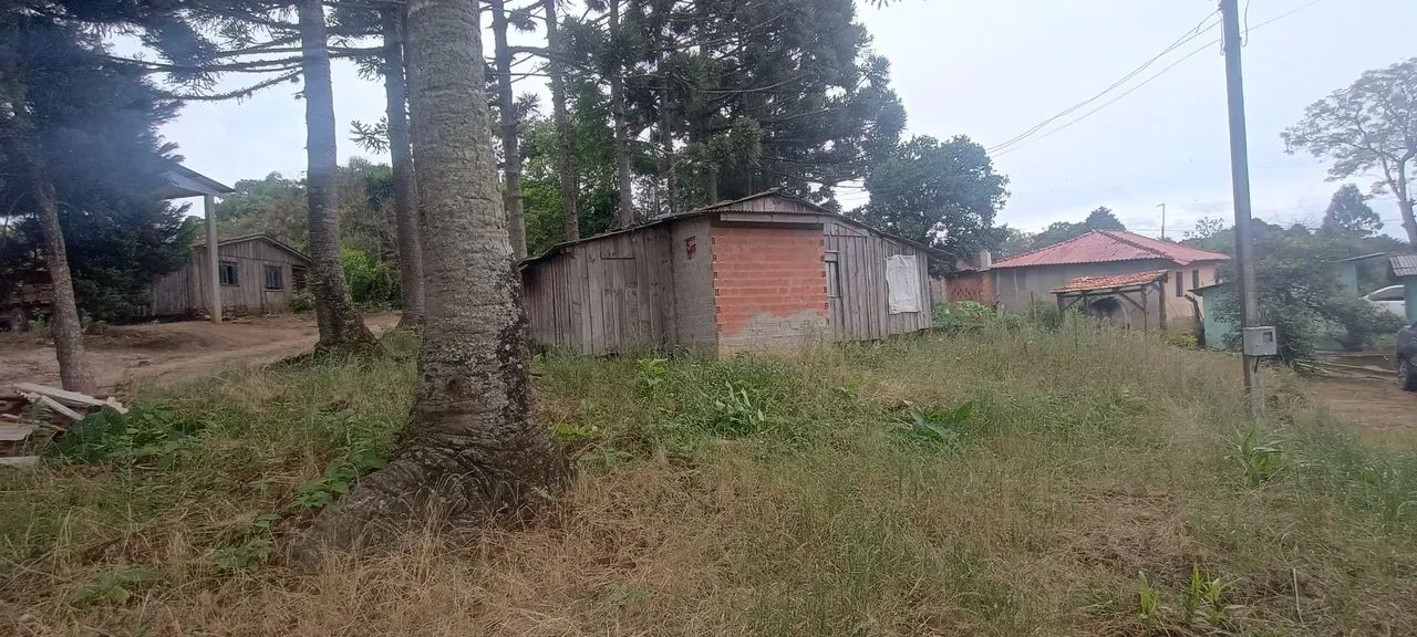 Pequena chácara  - Foto 3