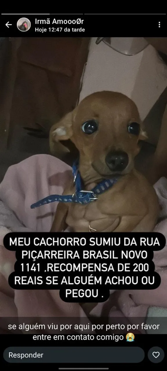 Recompensa de 200 reais ,sumiu do Brasil novo *94