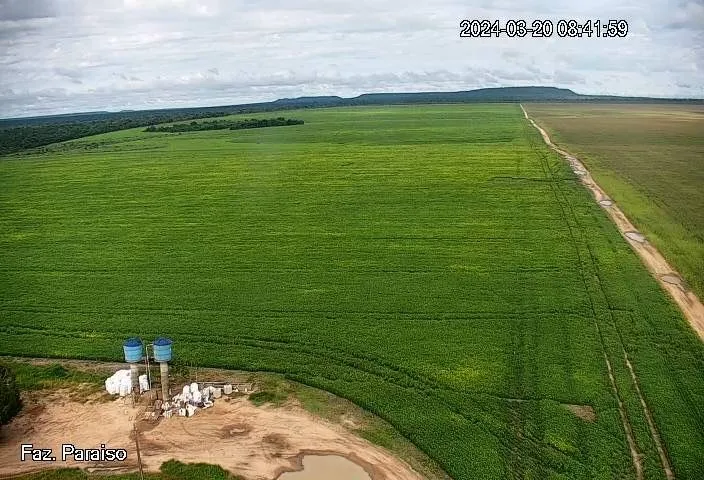 Fazenda a Venda