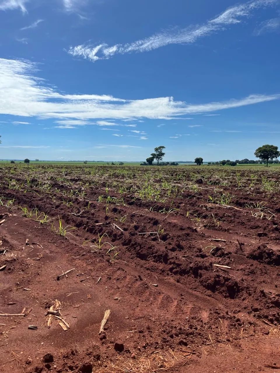 Excelente fazenda no Goiás  - Foto 2