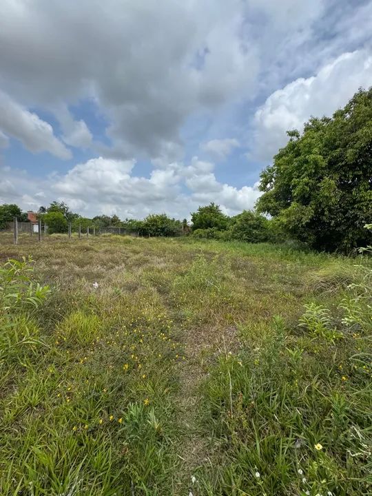 2 lotes perto do trevo do francês   - Foto 2