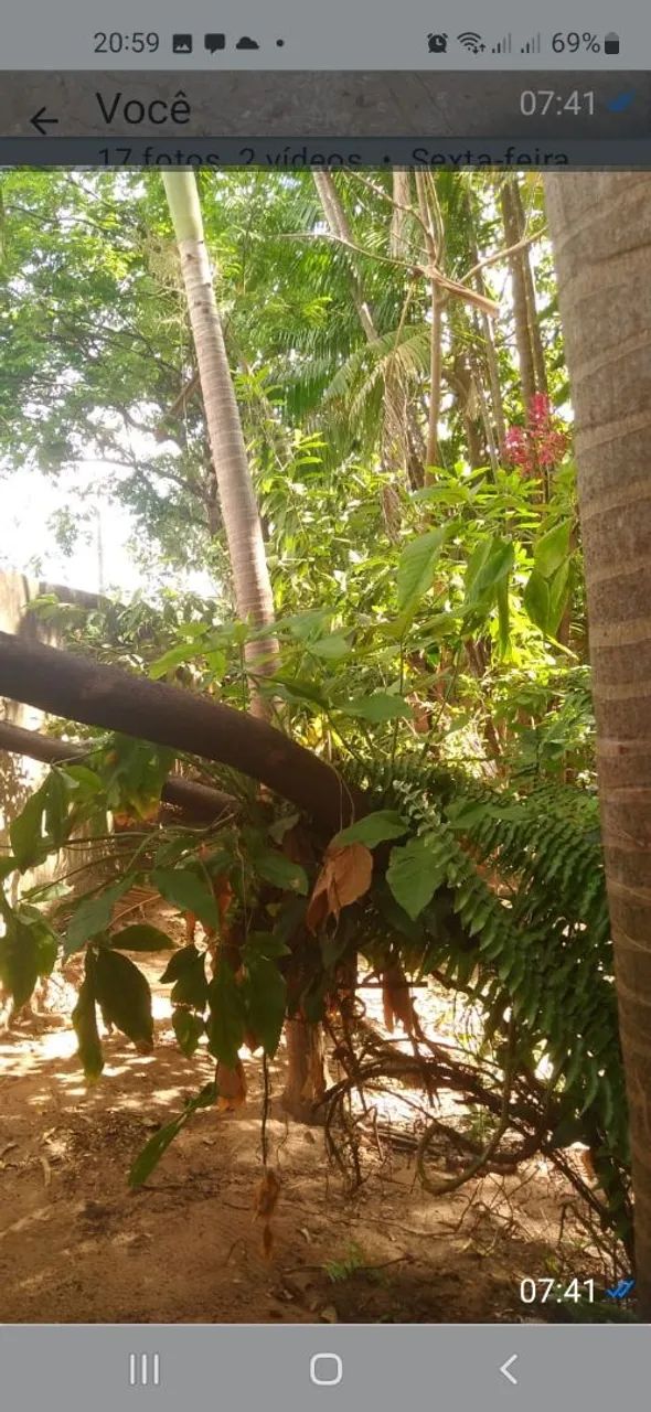 Vende-se sitio com porteira fechada com todos os objetos eletrônicos dentro  - Foto 7