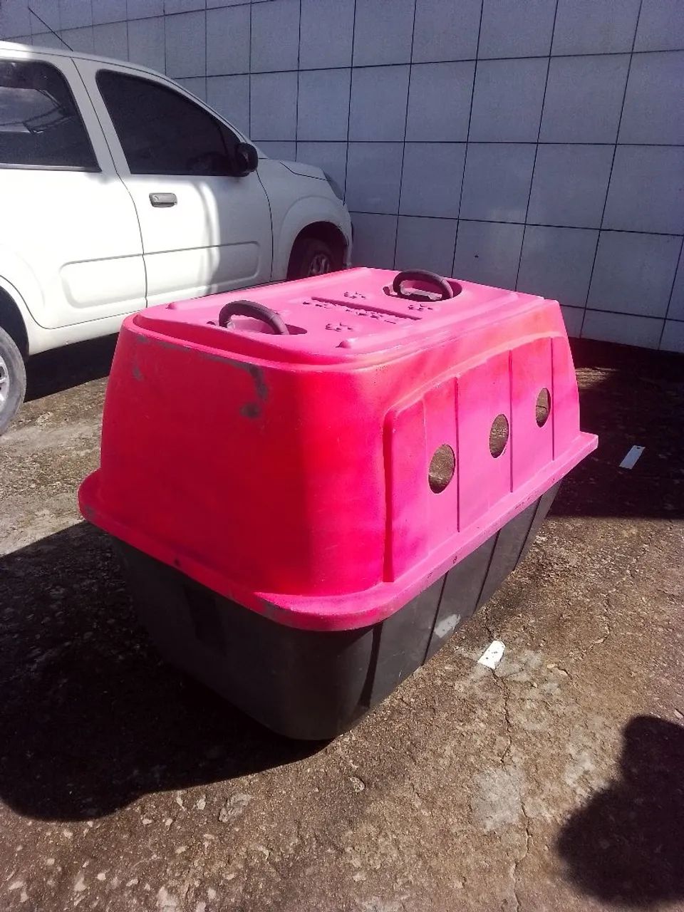 casa de cachorro64298891963393122