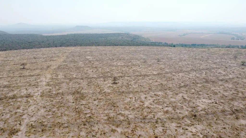 Fazenda de arrendamento 647hec em Paranatinga MT.  - Foto 3