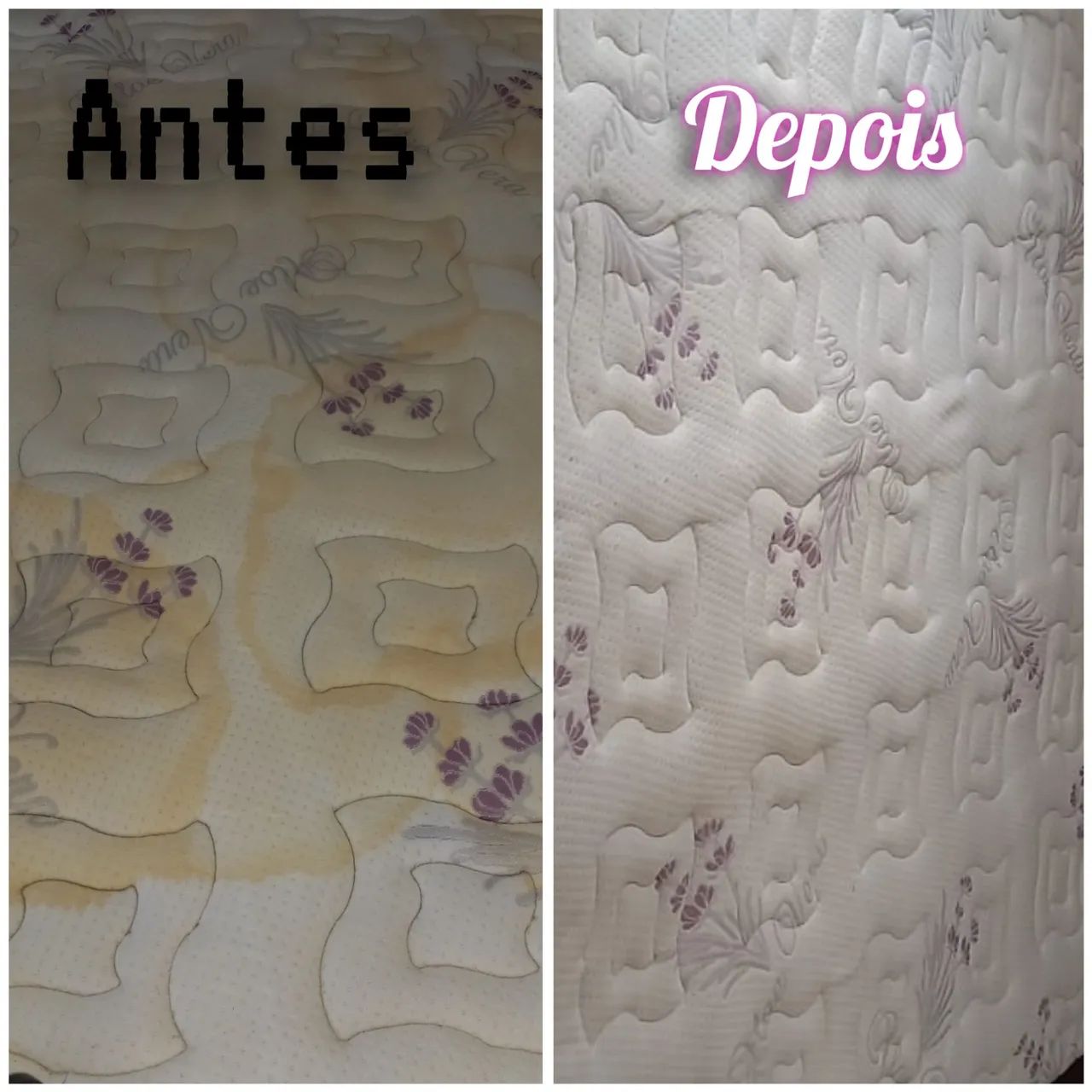 Higienização - Foto 2