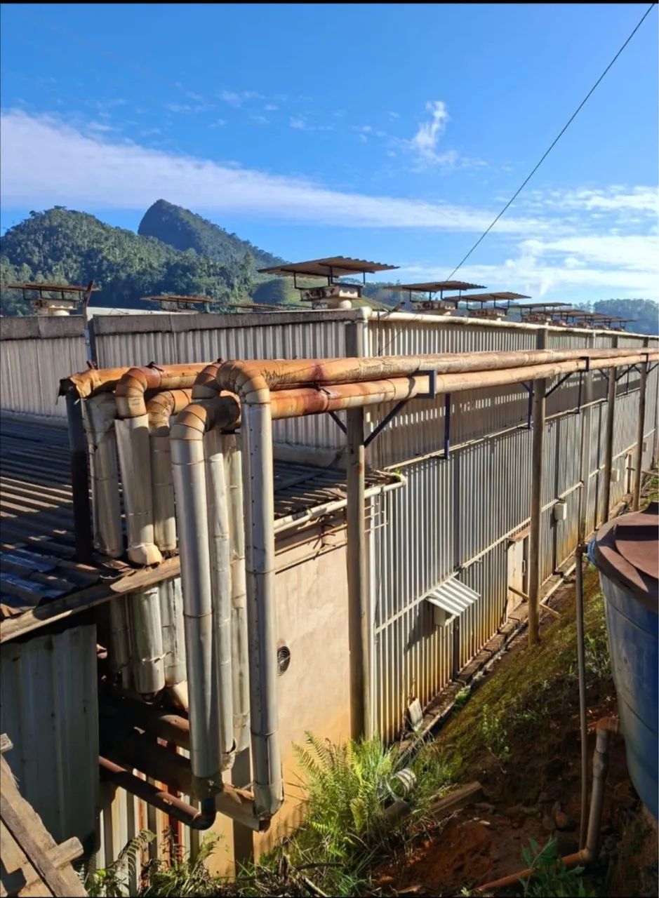 Estufa para Secagem de Madeira 