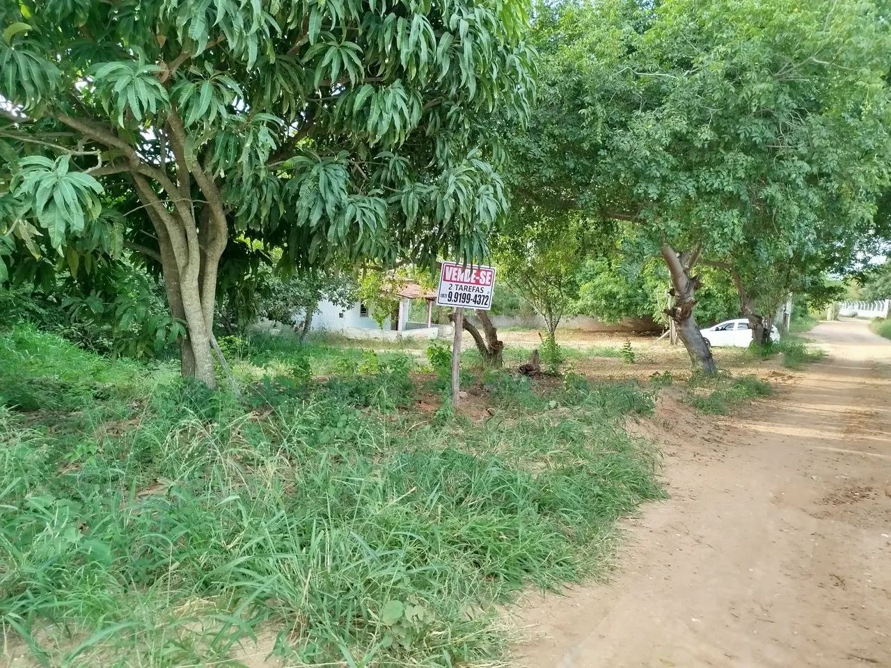 Vendo 02 Tarefas já com Casa construída. - Foto 2