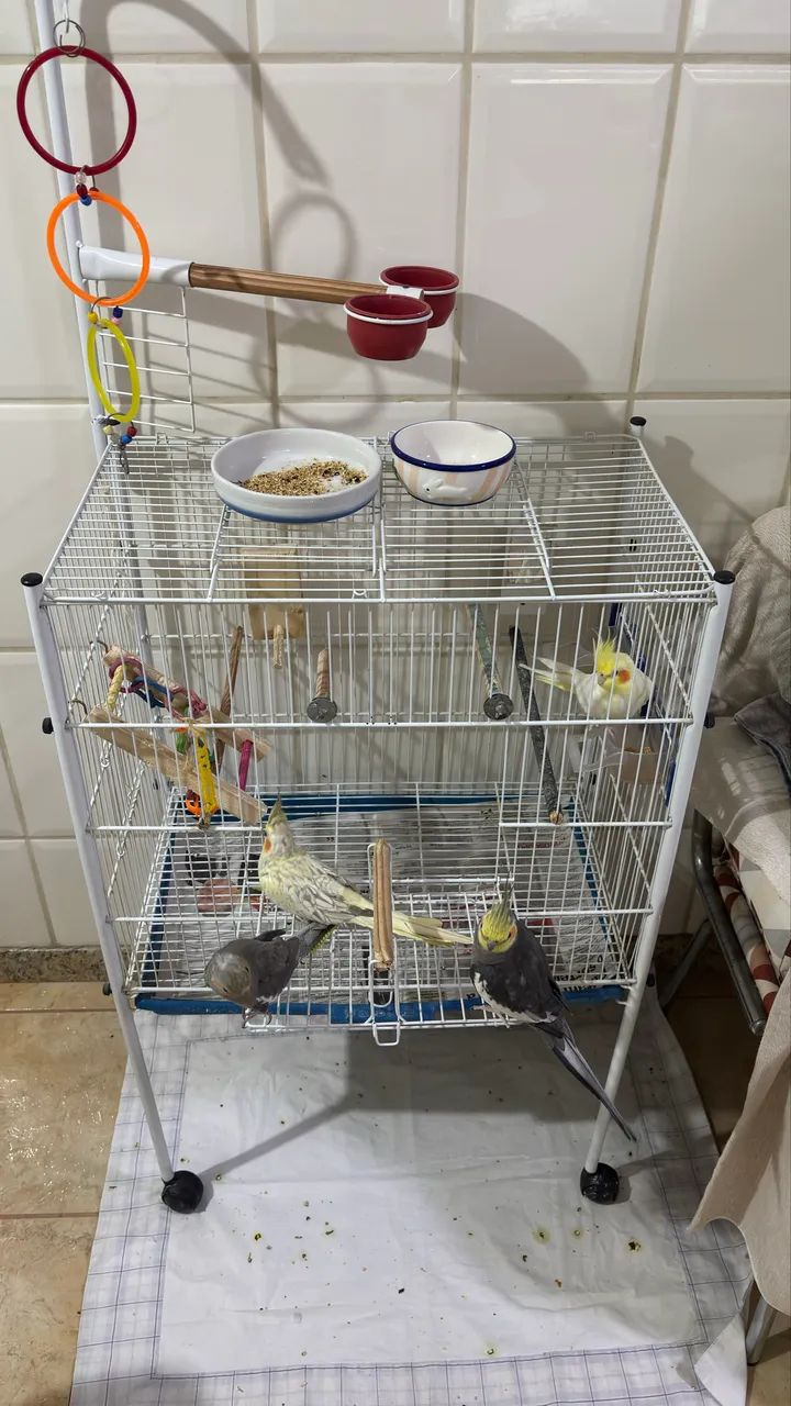 Gaiola para pássaros  - Foto 2