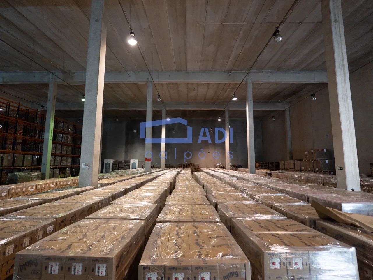 Galpão 3516 m²  Pé direito 10  Jandira  Castello Branco - Foto 5