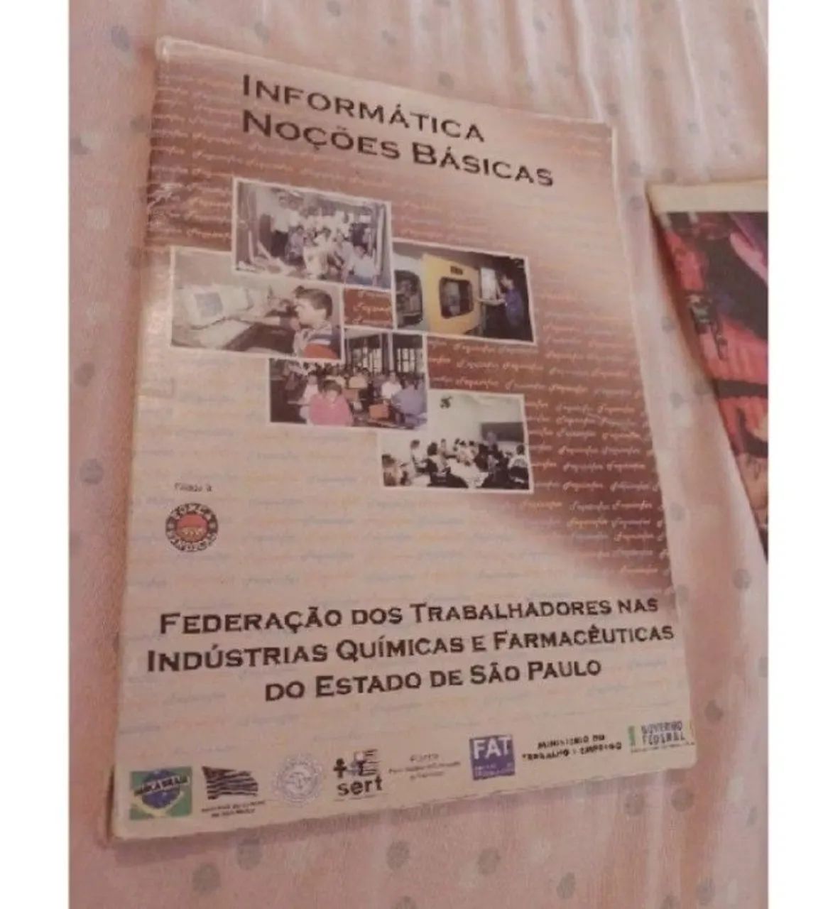 Livro de informática Básico 
