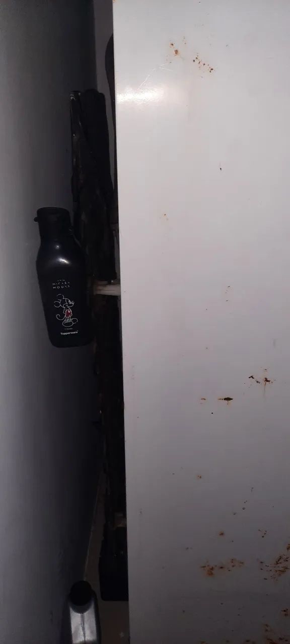 Selling refrigerator — just state your price; R$350, negotiable; it's 220V, but I have a transformer
