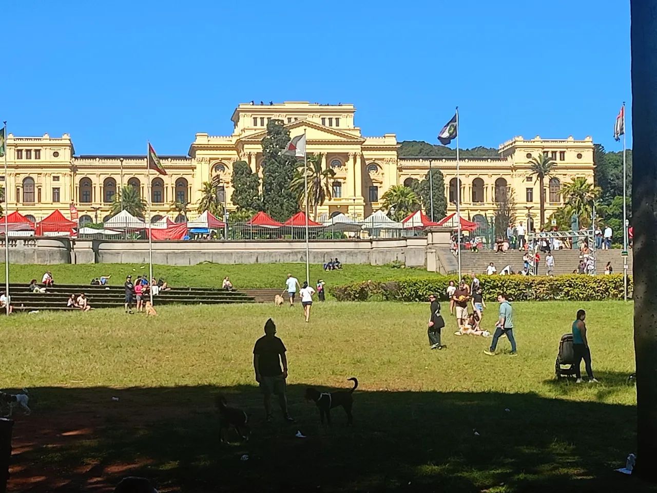 Eletrodomésticos usados vida nova  - Foto 3