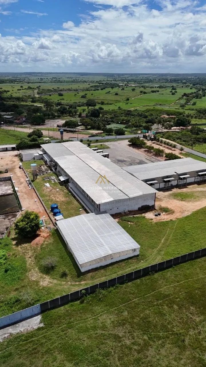 GALPÃO FRIGORÍFICO PARA VENDA E LOCAÇÃO - Foto 5