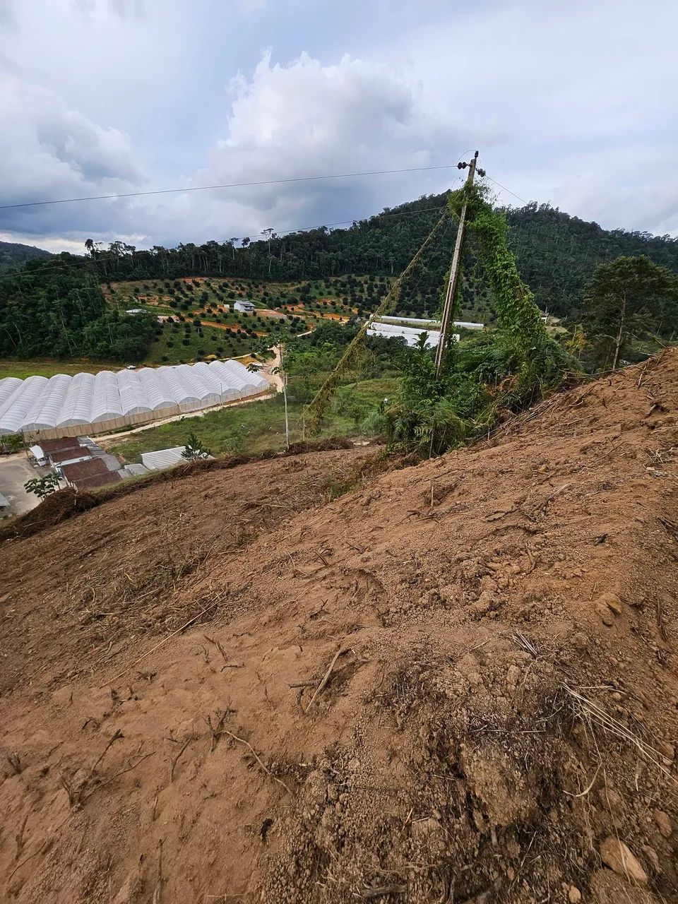 Terreno Alto Castelinho  - Foto 4