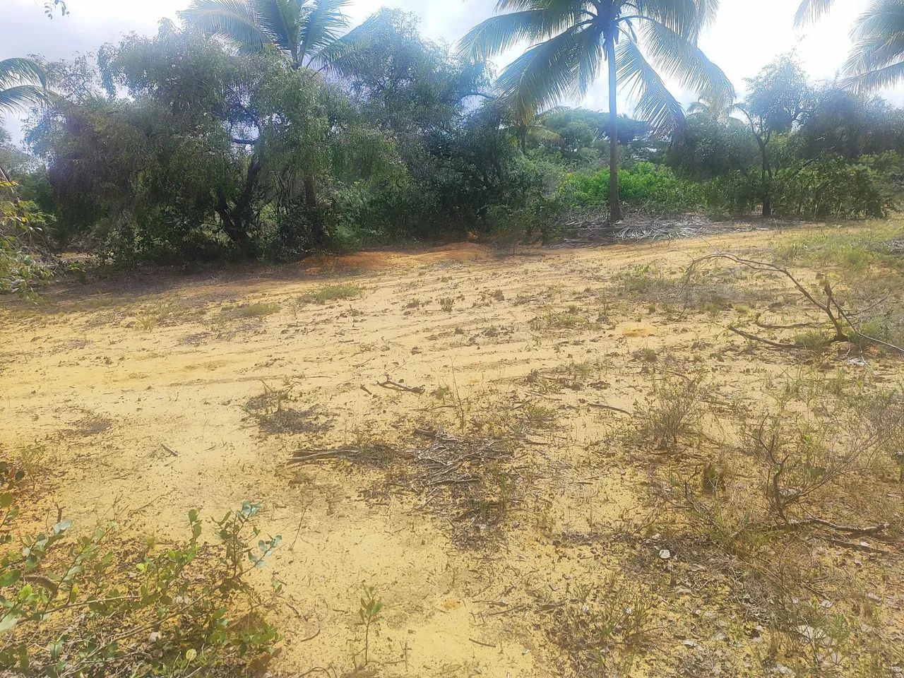 Vendo ou areando excelente terreno - oportunidade de investimento  - Foto 5