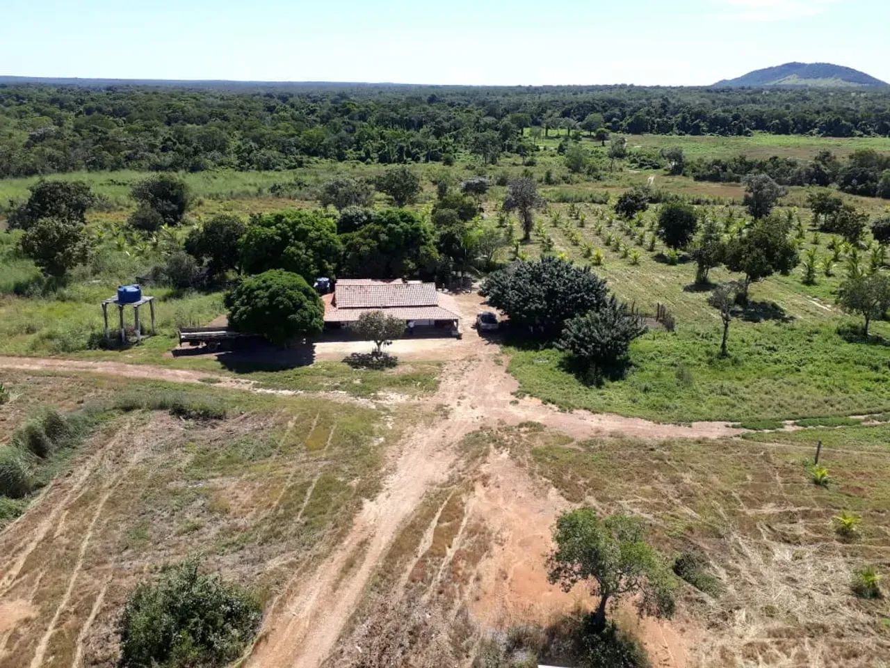 Fazenda Paraná TO - Foto 2