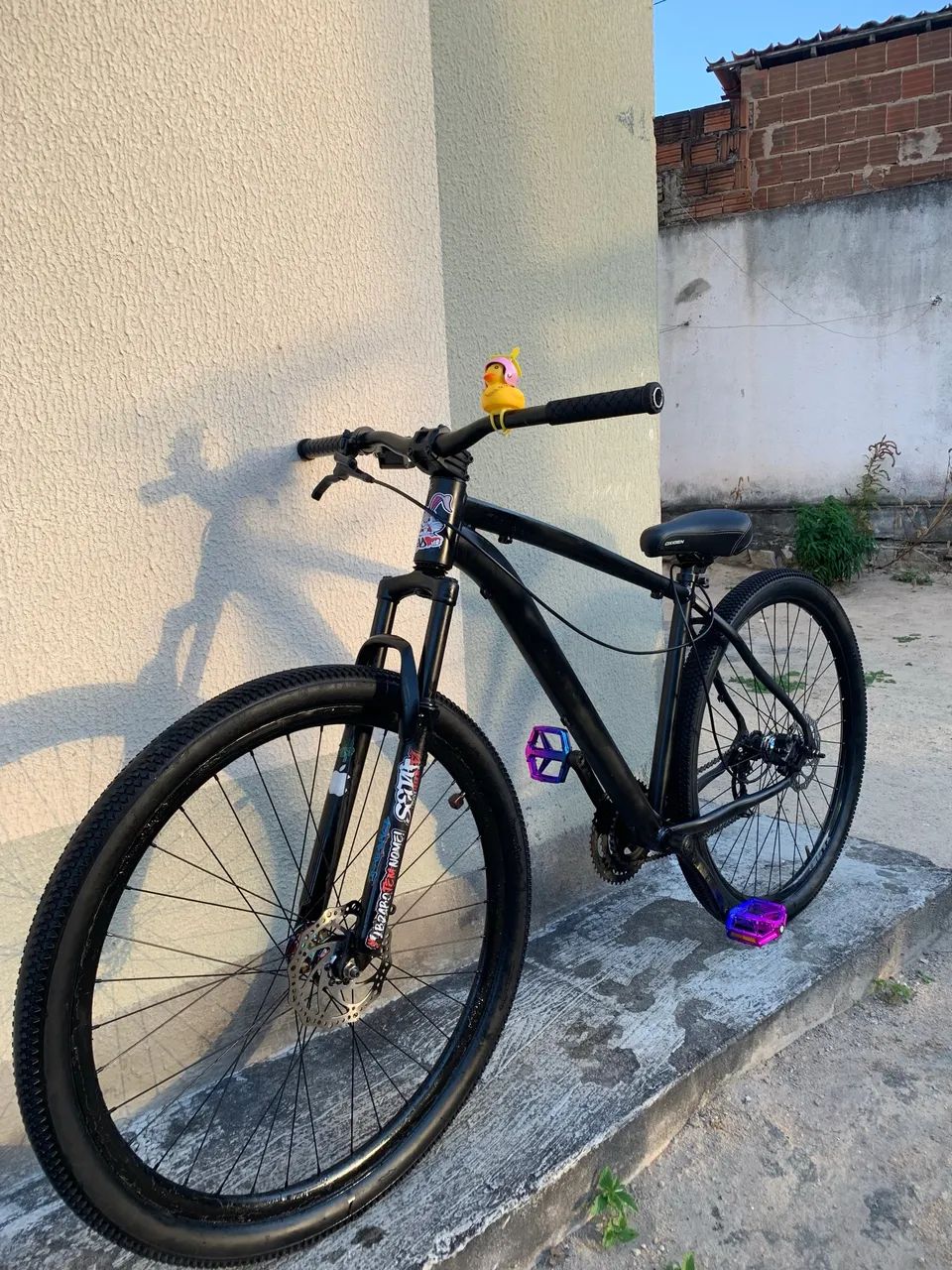BIKE ARO 29