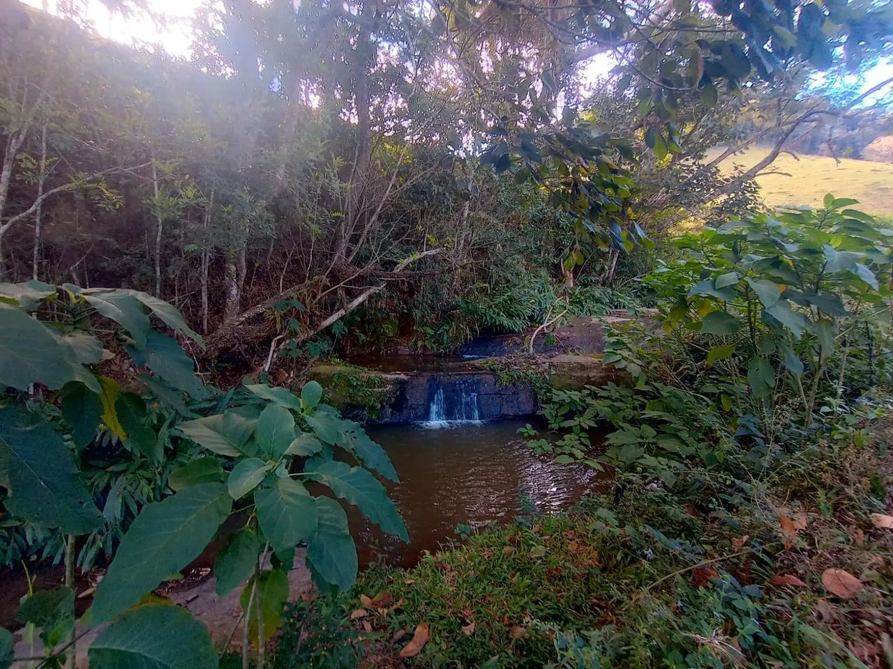 oportunidade sitio com cachoeira em natividade da serra - Foto 4