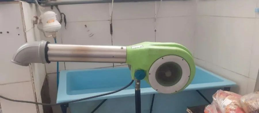 Secador profissional p pet shop