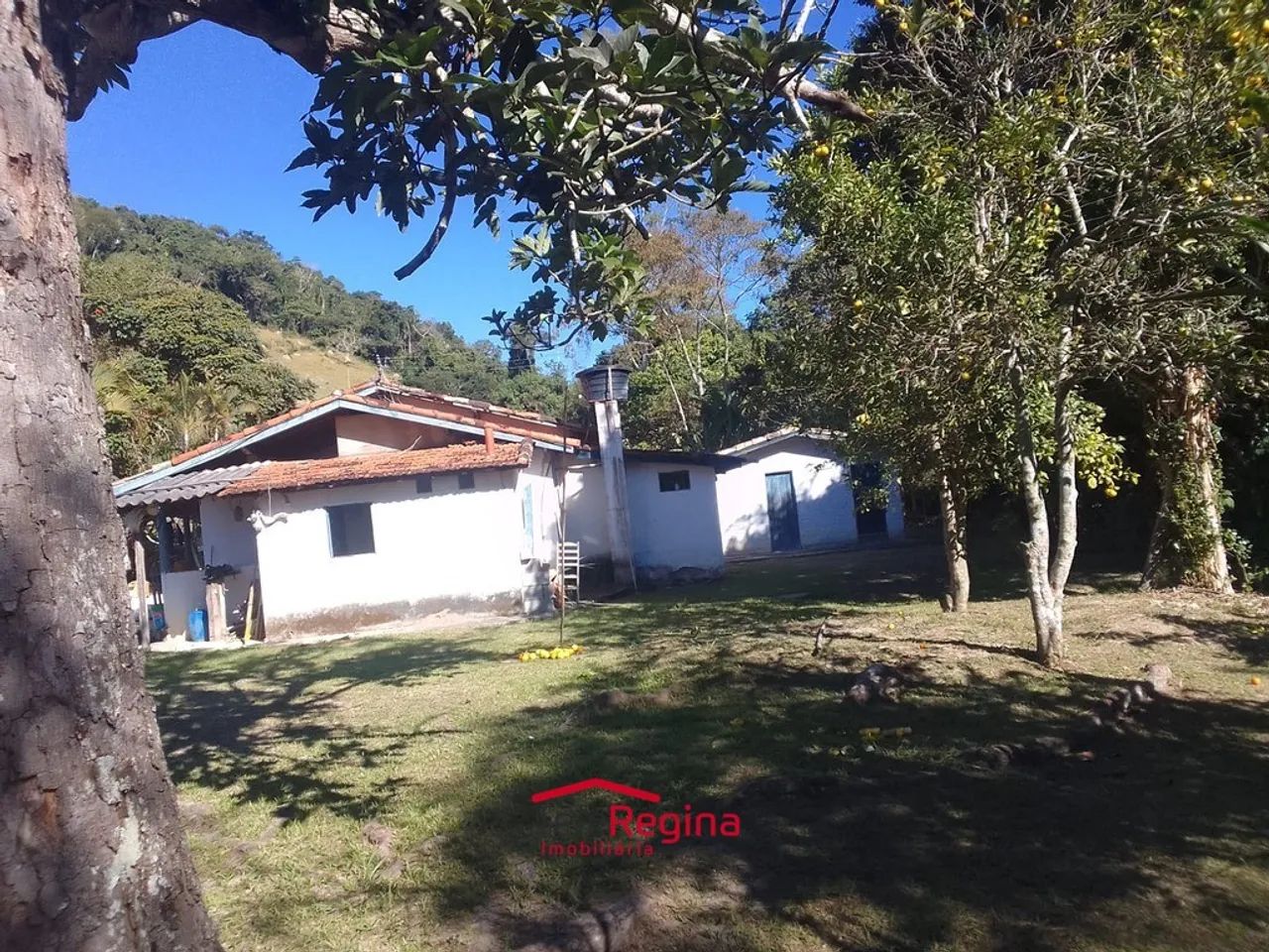 SITIO PARA VENDER EM NATIVIDADE DA SERRA- CH-592 - Foto 3