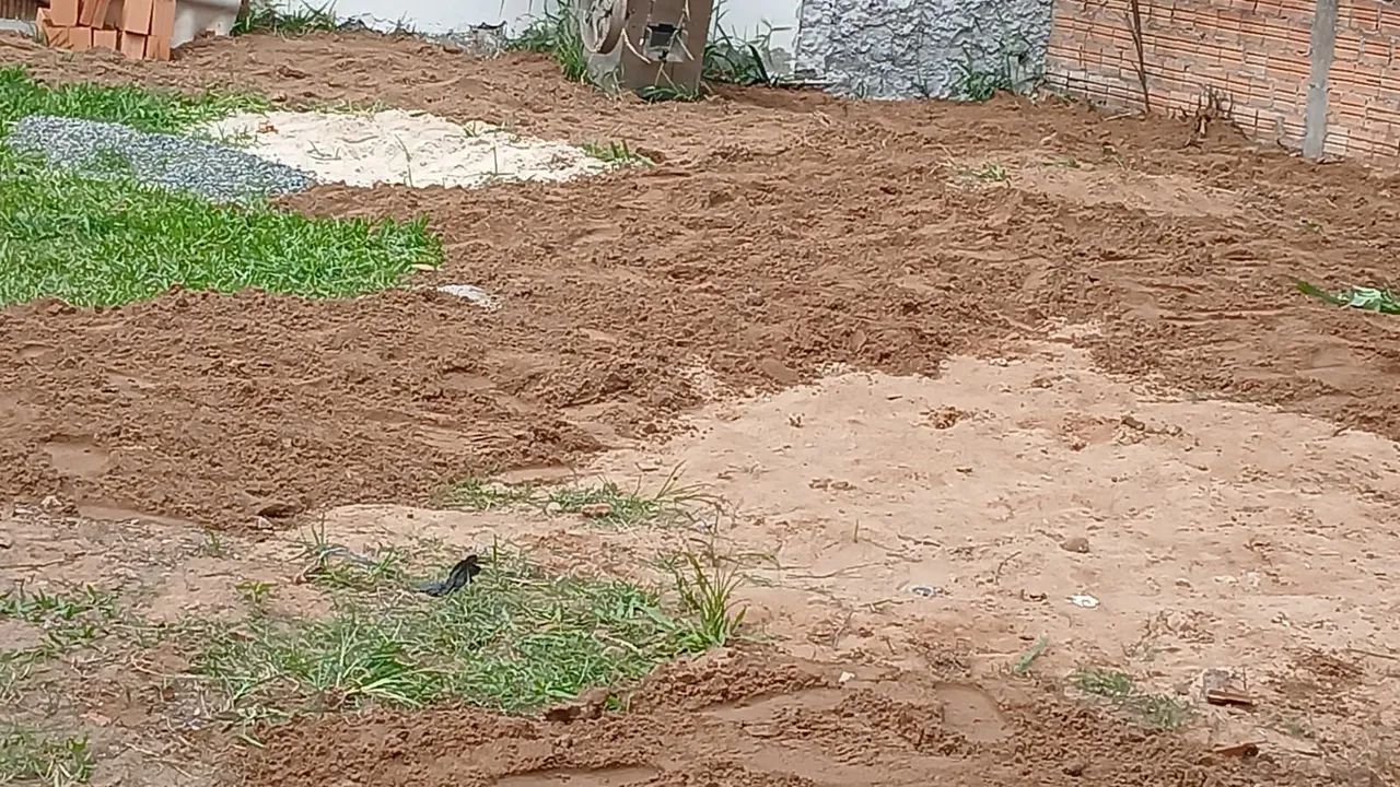  Ótimo. Terreno  no Rio Tavares   - Foto 2