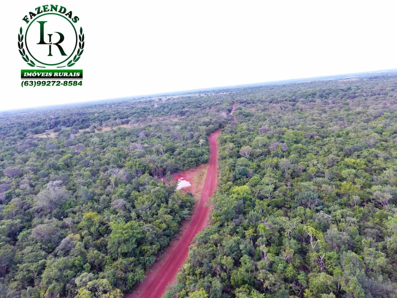 Fazenda Bruta 257 Alqueires Vale do Araguaia  - Foto 5