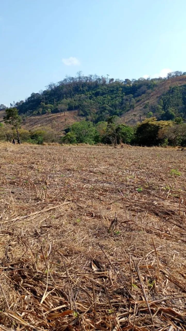 Terreno módulo rural em florestal  - Foto 4