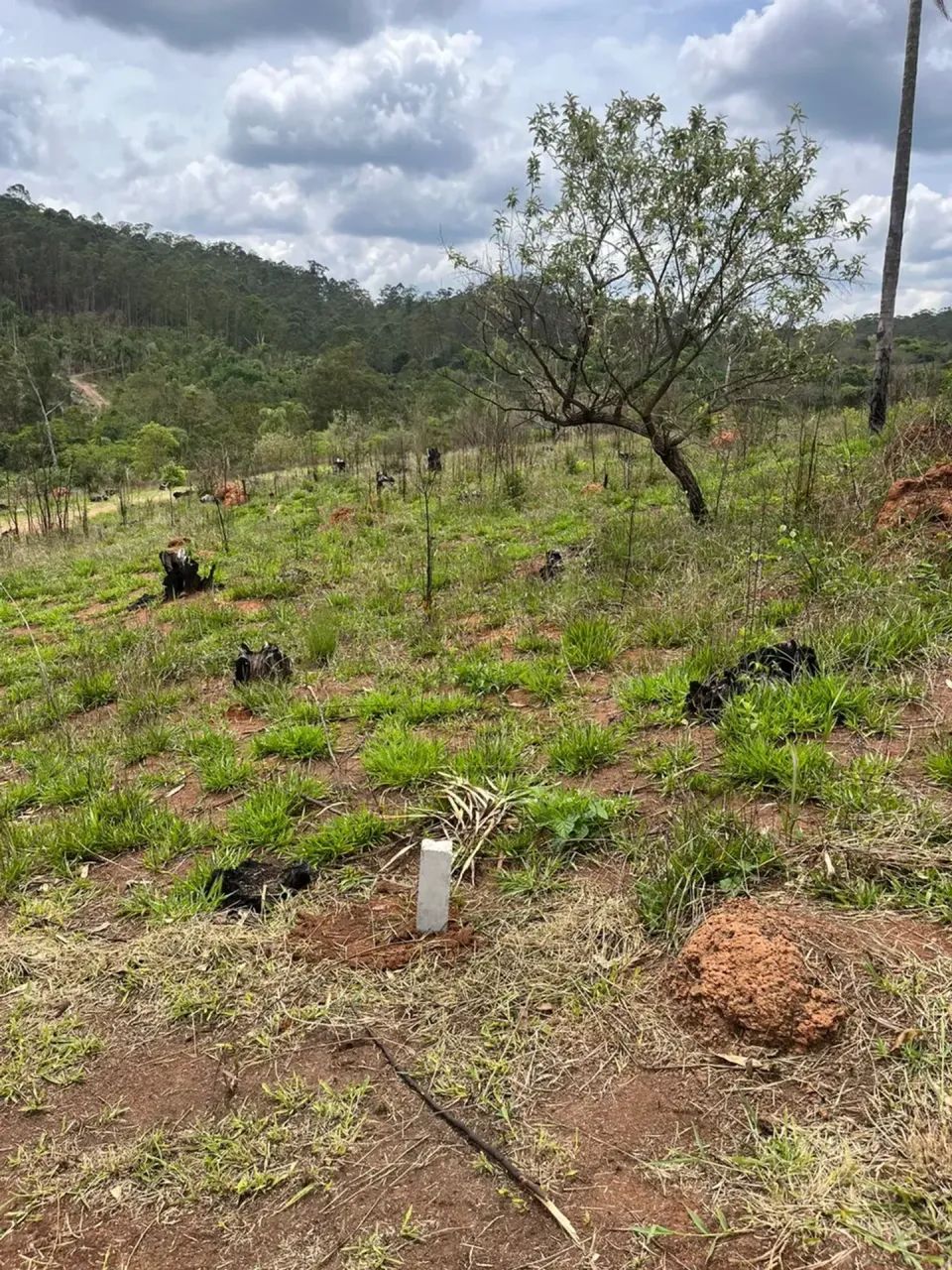 Preços baixos + valorização - Foto 4