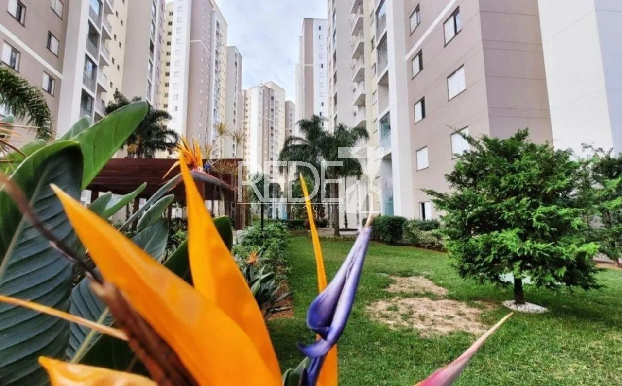 apartamento - Swift - Campinas - Foto 2