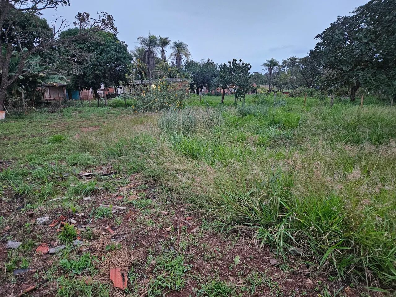 Terreno no Bairro NOROESTE  - Foto 4