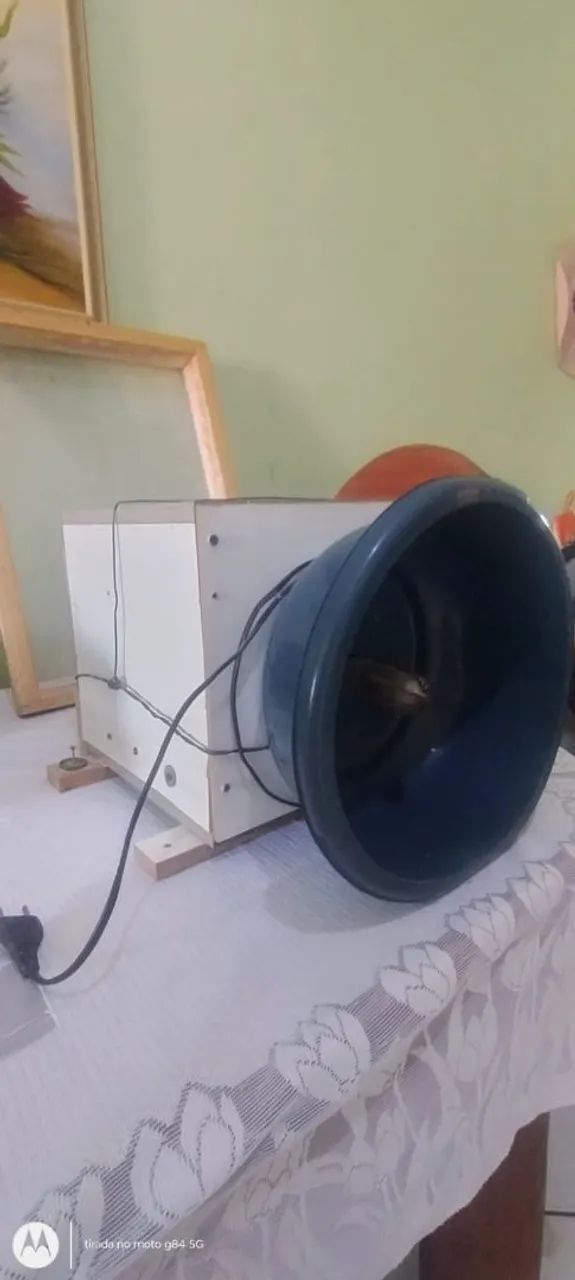 Raspador de coco elétrico profissional 