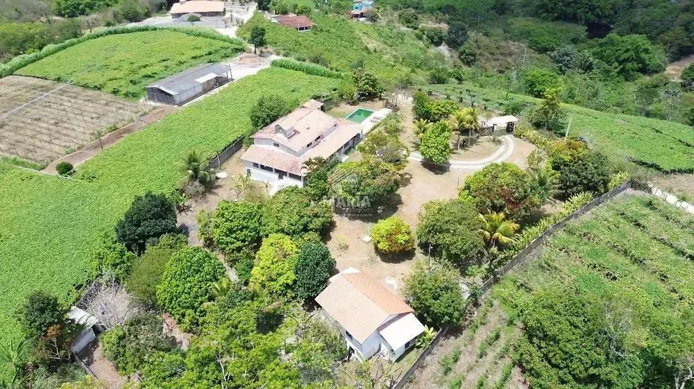 Chácara com 1,6 hectares à venda em Chã Grande/PE! - Foto 3