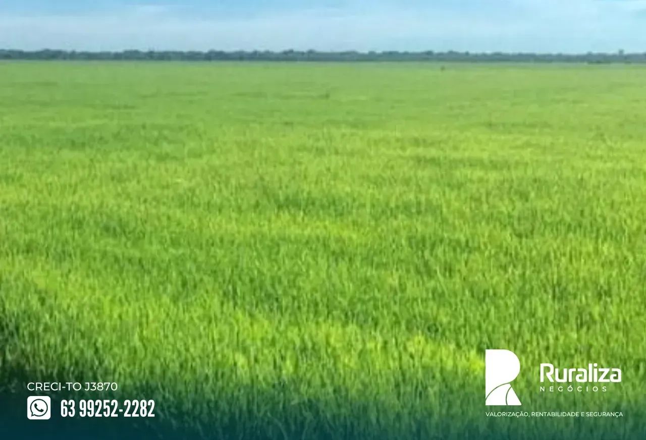 7.260 HA | 1.000 HA PARA ABERTURA | VÁRZEA E TERRA PRETA - Foto 2