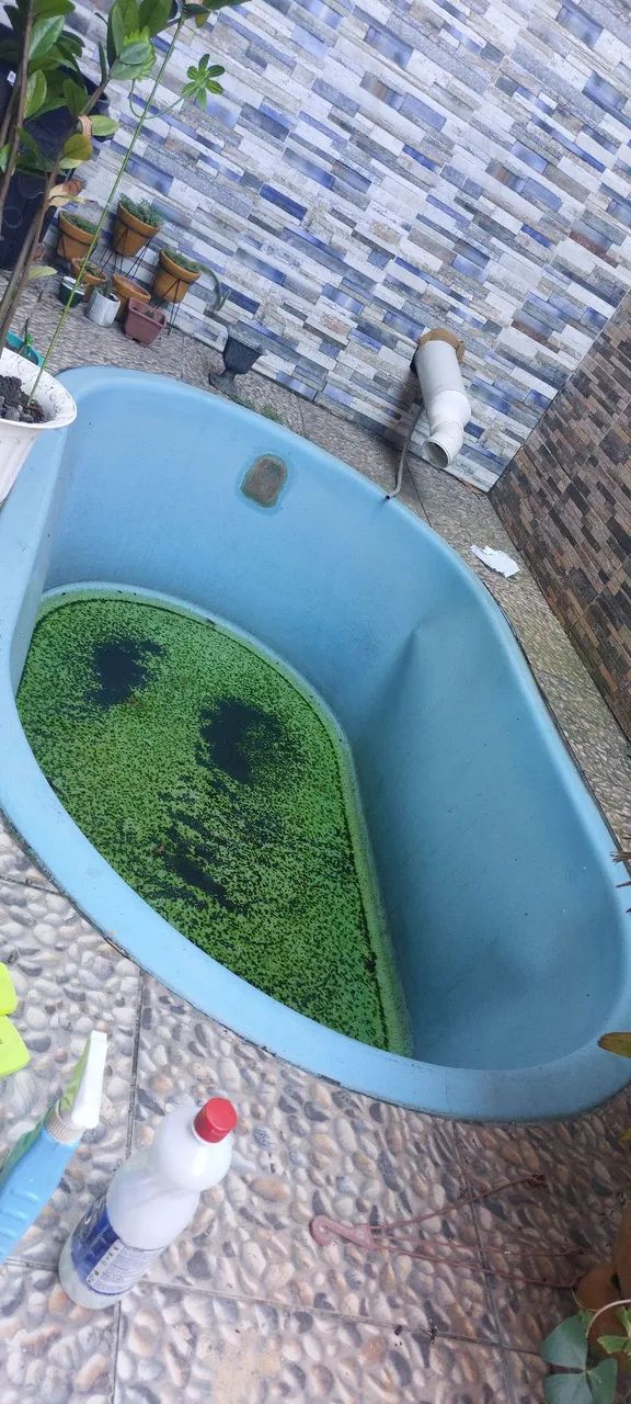 Piscina - Foto 2
