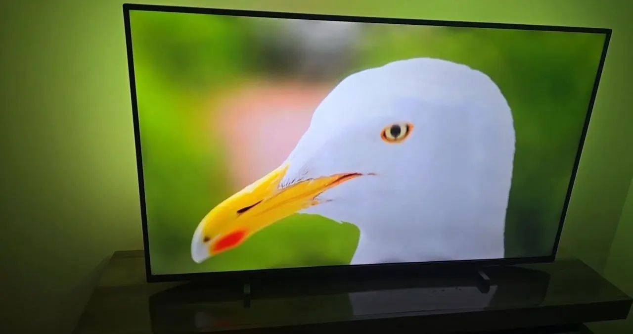 TV PHILIPS AMBILIGHT 55 POLEGADAS 1 ANO DE USO - Foto 4