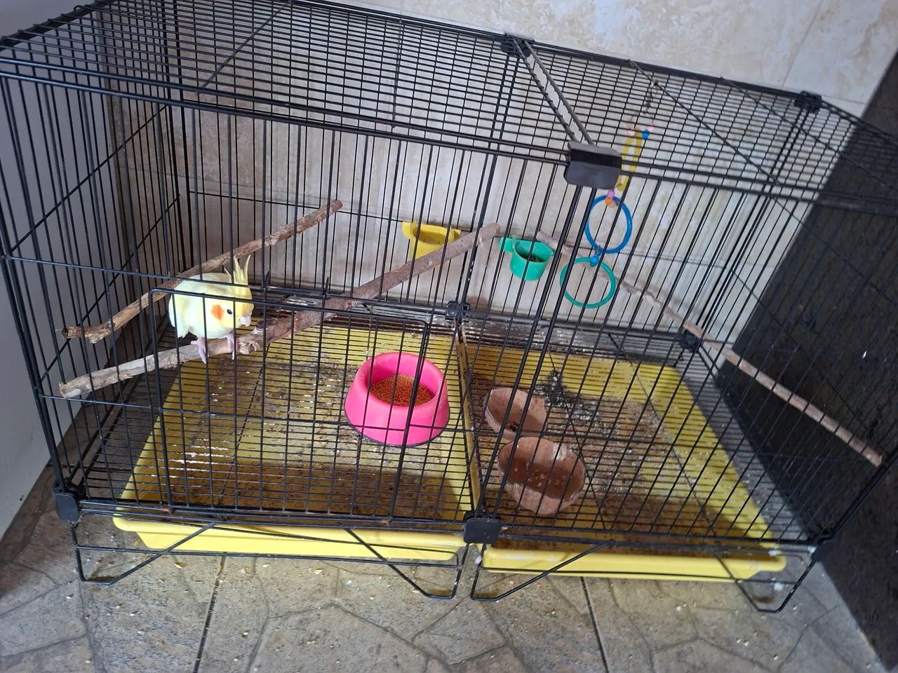 Gaiola grande  - Foto 2