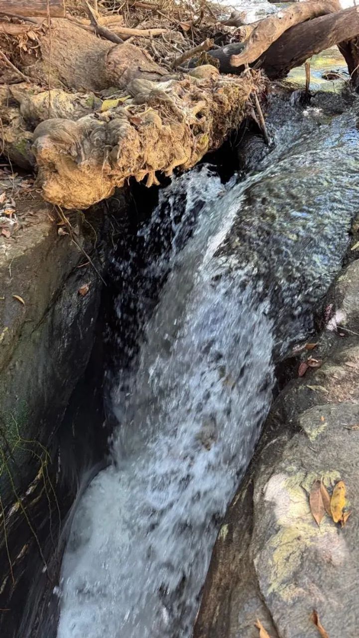 Chácara em Itaberai Rica de água  - Foto 5