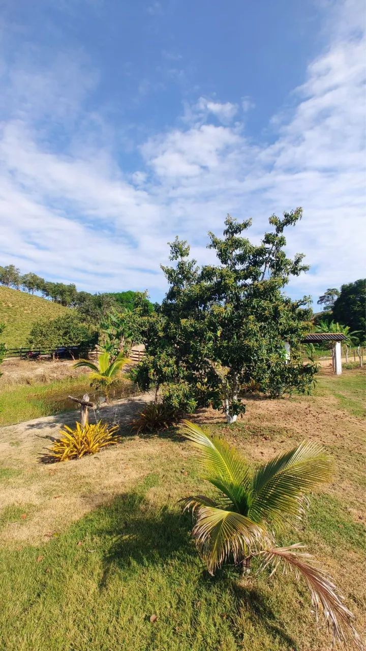 Chácara em Anchieta-ES - Foto 4