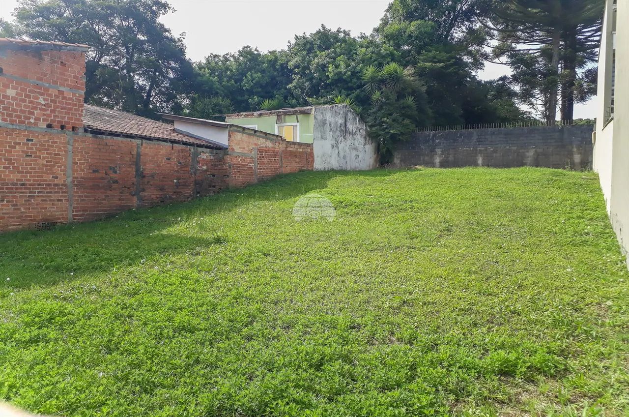 Vendas Terreno Curitiba PR - Foto 4