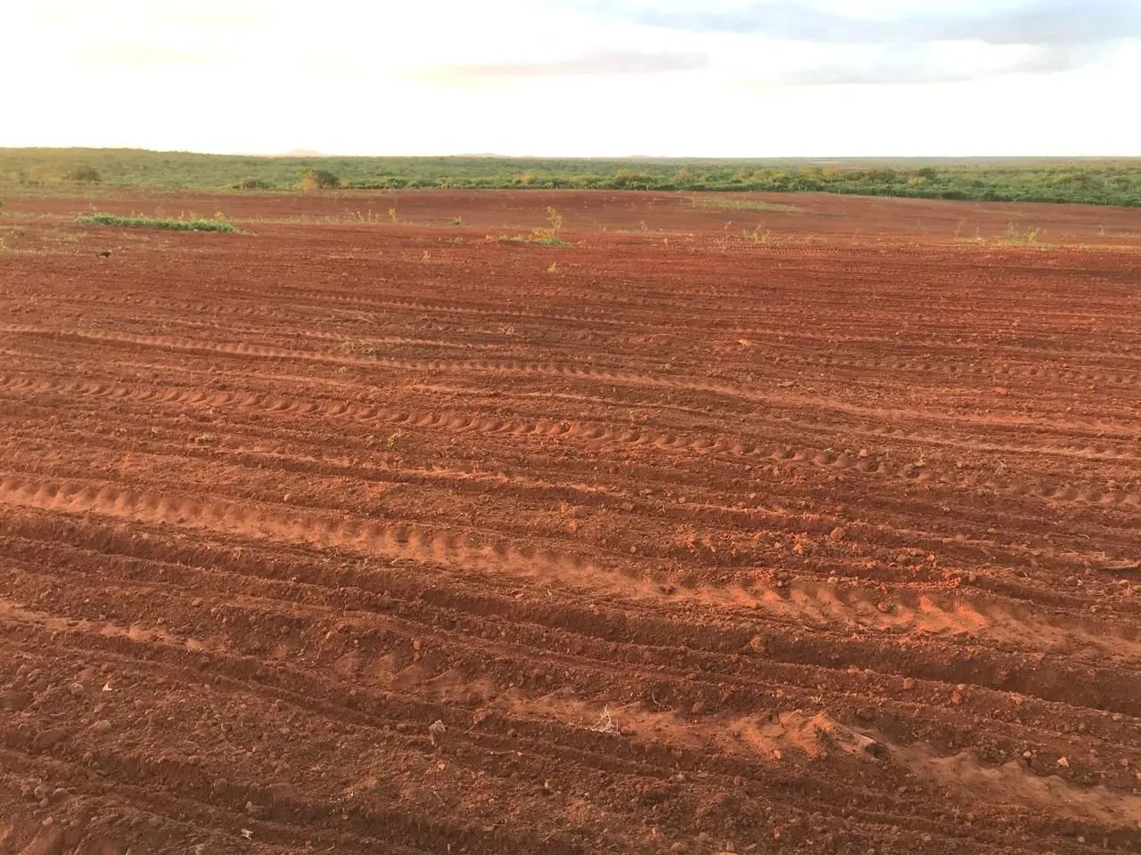 Fazenda com Escritura - Foto 4